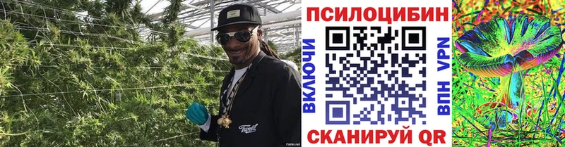 Галлюциногенные грибы мухоморы  Серов 